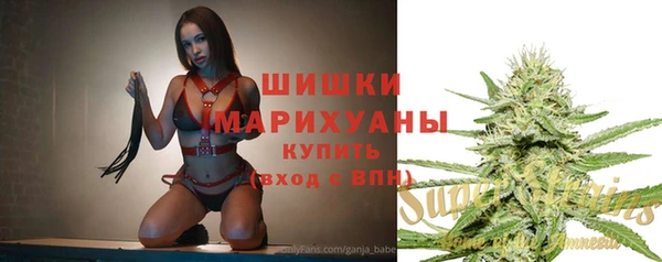 стаф Бронницы