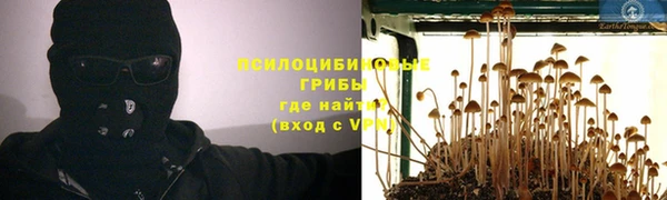 гидра Бугульма