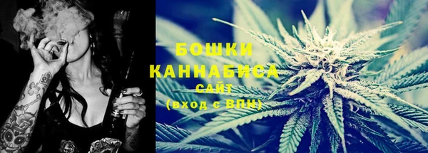 стаф Бронницы
