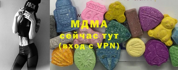 шишки Тында