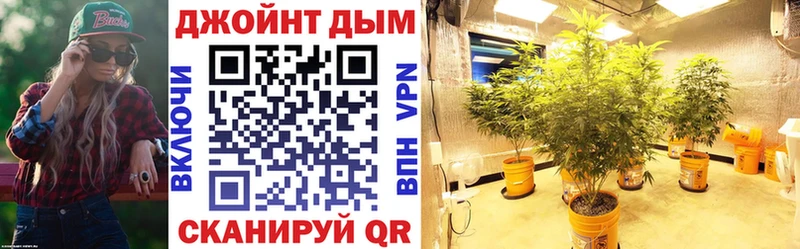 закладка  Славянск-на-Кубани  KRAKEN вход  маркетплейс какой сайт  Бошки Шишки Amnesia 